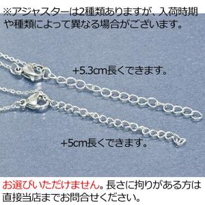 アクセサリー ステンレス 星座ネックレス / ...の詳細画像4