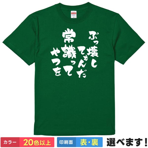 おもしろTシャツ  ぶっ壊してぇんだ常識ってやつを 無地 メンズ レディース キッズ  ボーボボ