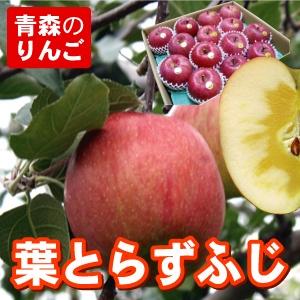 爆買 青森りんご 葉とらずサンふじ 家庭用 5c箱 (12〜20個入）リンゴ 林檎 フルーツ デザート 贈り物 贈答品  お見舞い 産地直送 サンふじりんご5ｋｇ サンふじ