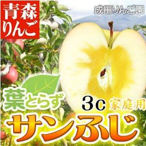 青森りんご☆送料無料☆贈答用サンふじ5キロ14〜18玉 発送は11月30日頃