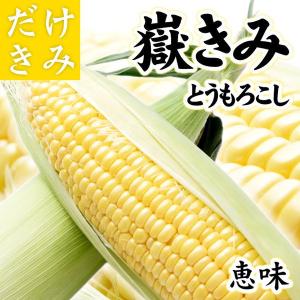 「爆買」 嶽きみ 恵味 L〜2Lサイズ 20本 とうもろこし 青森県産 だけきみ トウモロコシ 甘い 朝採れ 新鮮 産直野菜 お中元 暑中見舞い ギフト 贈答用 北海道