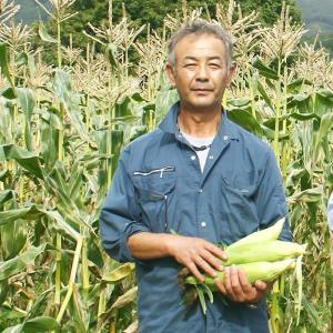 「爆買」 嶽きみ 恵味 L〜2Lサイズ 20本...の詳細画像4