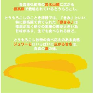 「爆買」 嶽きみ 恵味 L〜2Lサイズ 20本...の詳細画像2