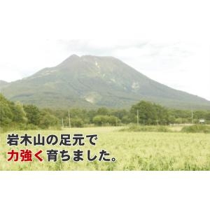 「爆買」 嶽きみ 恵味 L〜2Lサイズ 20本...の詳細画像3