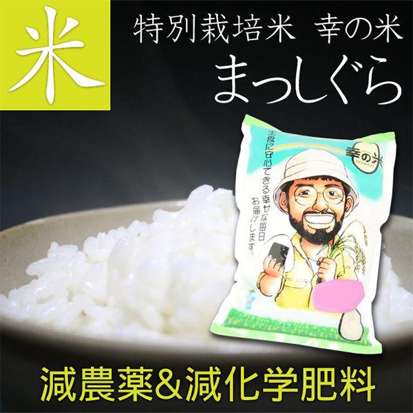 送料無料 特別栽培米(減農薬&amp;減化学肥料)  まっしぐら 5kg おこめ お米 ごはん 玄米 胚芽米...