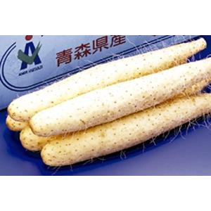 十和田美人野菜 長芋 ギフトセット 3kg (3~4本) 　青森 あおもり 名産 青森県産 農産物 ...