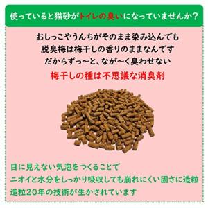 猫砂 梅干しの種 ペットの脱臭トイレ砂 脱臭梅...の詳細画像2