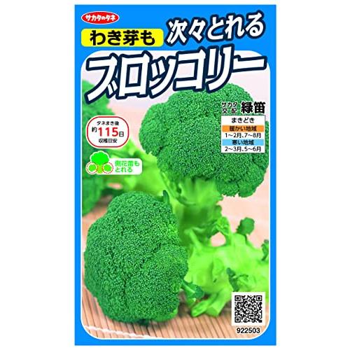 実咲野菜 ブロッコリー わき芽も次々とれるブロッコリー 緑笛 小袋002929