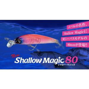 シャローマジック 80 Shallow magic シャロウマジック 80mm 7.0g Aqua ...