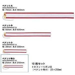 トロフィーリボンSS(ペナント特小)(25*250mm)10枚入
