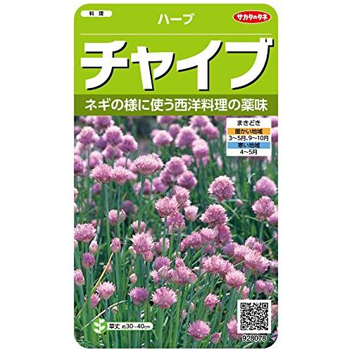 サカタのタネ 実咲ハーブ8078 チャイブ ハーブ 00928078