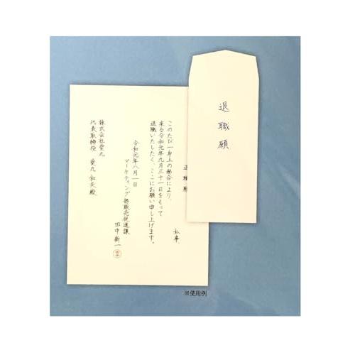 決断のここ一番に  迷わず丁寧な退職願専用 便箋・封筒セット 便箋4枚・封筒2枚・下敷1枚・付録/退...