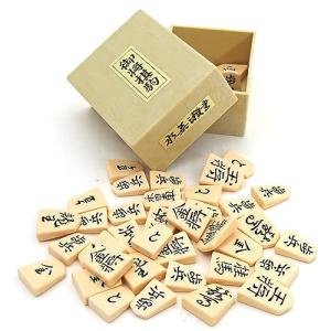 将棋駒 将棋入門やお子さまに 指し心地のある プラスチック製上駒 水無瀬書 四大書体 Pケース入り