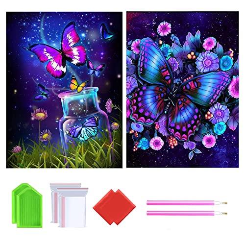 2枚セット 5Ｄダイヤモンドアート キット ダイアモンドビーズ絵画キット DIY・手作り絵画手芸キッ...