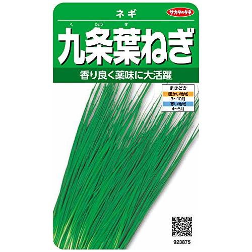 サカタのタネ 実咲野菜3875 九条葉ねぎ ネギ 00923875