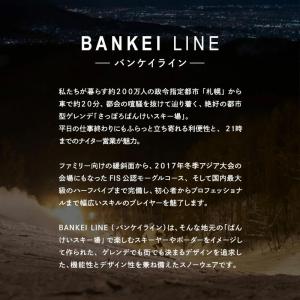 スノーボードウェア レディース 上下セット ス...の詳細画像1