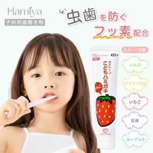 ブリアン　歯磨き粉　いちご&グレープ味　2袋セット ブリアン 歯磨き粉 2袋（60包/袋）セット いちご&グレープ味