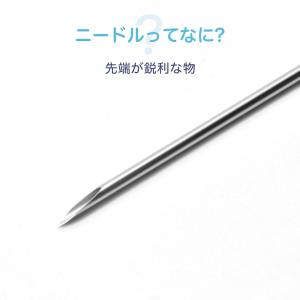 クーポンで最安183円 ニードル 12G 14...の詳細画像1