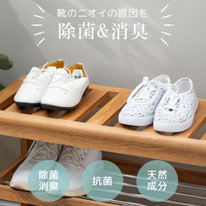 10個限定セール!嫌な靴臭いを消えさせる!抗菌...の詳細画像1