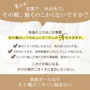 10個限定セール!嫌な靴臭いを消えさせる!抗菌...の詳細画像2
