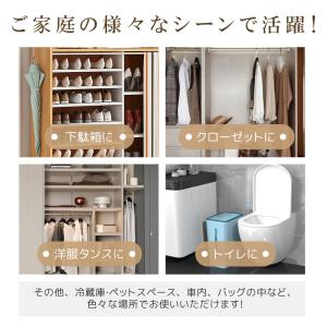 10個限定セール!嫌な靴臭いを消えさせる!抗菌...の詳細画像5