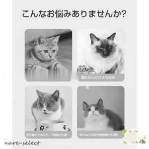 自動給水器 給餌器 猫用 犬用 ネコ イヌ ペ...の詳細画像2