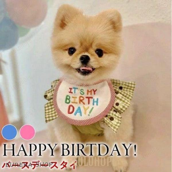 犬 ペット エプロン バースデイ バースデー スタイ ペット 犬 猫 誕生日 記念日 おしゃれ かわ...