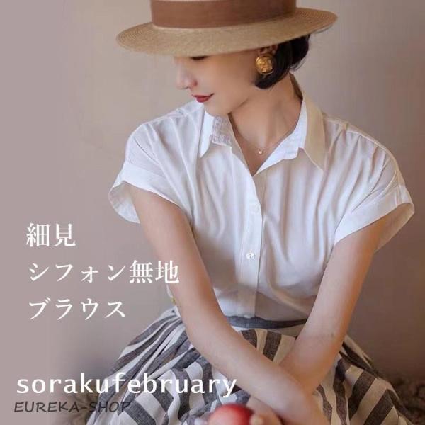レディース ブラウス シャツ トップス 細見 スリーブ シフォン 無地 シンプル 上品フェミニン シ...
