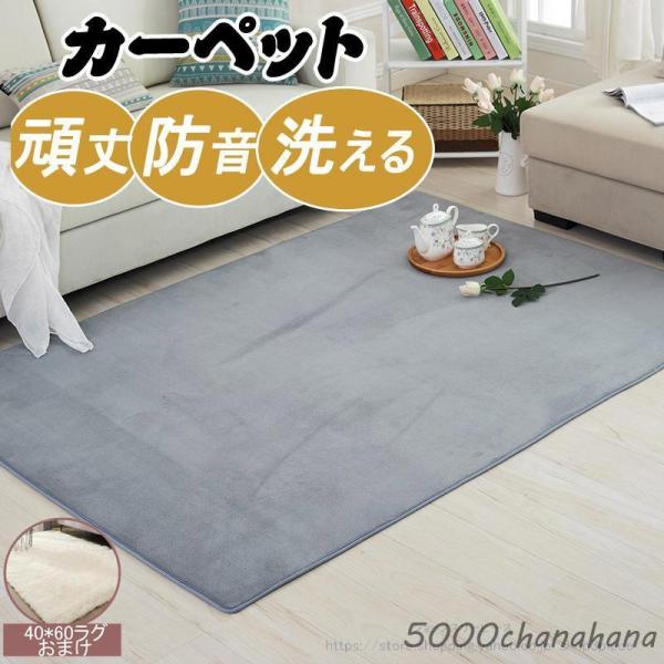 ラグ カーペット 洗える おしゃれ オールシーズン 防ダニ ラグマット 滑り止め付 フランネル ホッ...
