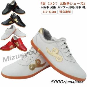 武術太極拳シューズ 表演 武術 武術 太極拳シューズ 太極拳 カンフー用靴 長拳 シューズ 雲ユン 幅広 牛革 太極拳 カンフ