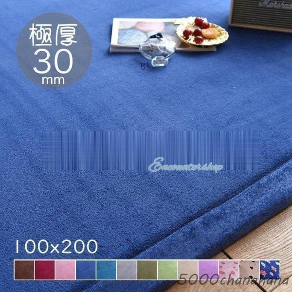 カーペット ラグマット 絨毯 おしゃれ ラグ 厚手 洗える 北欧 200 250 300 3畳 6畳...