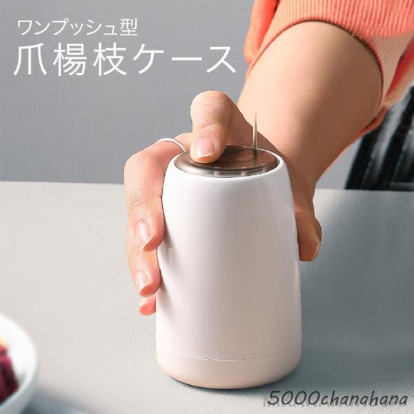爪楊枝入れ 爪楊枝 ケース つまようじ ホルダー ワンプッシュ tooth-pick