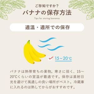 公式 バナナスタンド バスケット かご 取り外...の詳細画像2