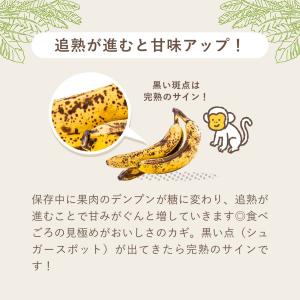 公式 バナナスタンド バスケット かご 取り外...の詳細画像3