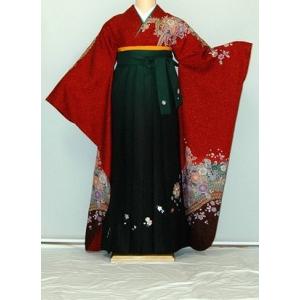 振袖袴レンタル 卒業式 ゆったりサイズ 大きいサイズ 2L 3L フルセット 卒業袴 謝恩会 正絹振...