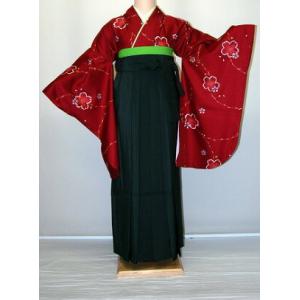 小振袖袴レンタル 二尺袖袴レンタル 卒業式袴 卒業袴 標準サイズ 謝恩会 着物レンタル 人気 フルセ...
