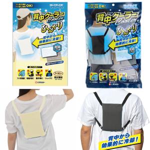 エージーデオ24 AG プレミアムデオドラント シャワーシート 無香性 10