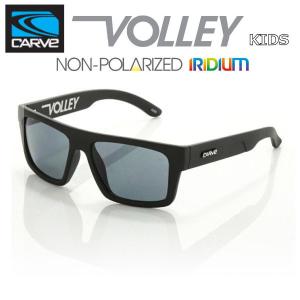 ナイキ NIKE SB UNREST サングラス MatteDarkObsidian-White GreyLens