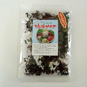 サラダ　ミネラルいっぱいの海藻サラダ２袋入り　熊本 | 天草特産品ショップ