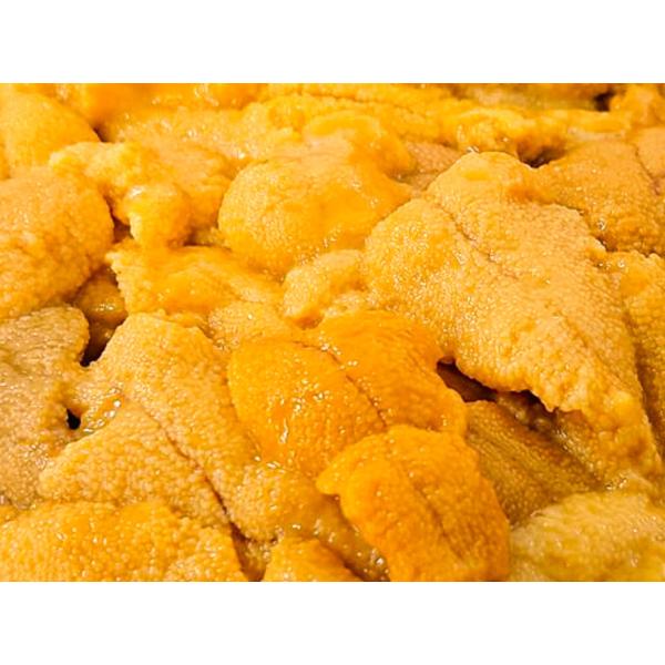 ウニ 生うに２本セット イルカウォッチングで有名な天草の海で育ちました！ | 天草特産品ショップ