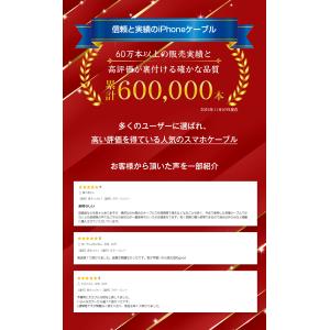 iPhoneケーブル 急速充電 0.25m 0...の詳細画像1