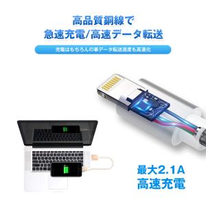 iPhoneケーブル 急速充電 0.25m 0...の詳細画像3
