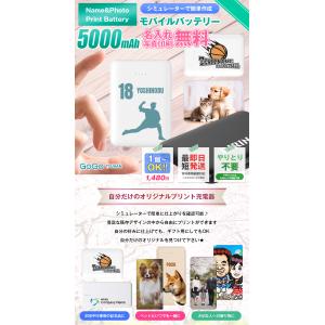 オリジナル モバイルバッテリー 名前入れ iP...の詳細画像2