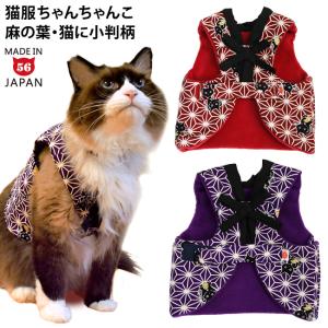 猫服 開運招福 招き猫セット : 56nyan 猫用品ゴロにゃんヤフー店