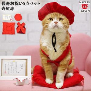 ゴロにゃんオリジナル爪とぎ ロングポール専用ネジ・六角レンチ (33226