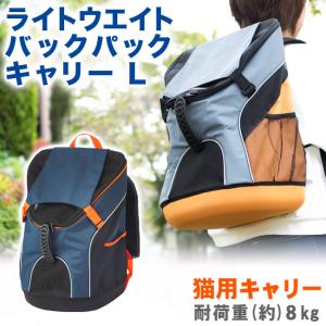 DADWAY ライトウェイト バックパック キャリー L ibiyaya 特箱