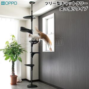 オッポ]OPPO CatForest-2 キャットフォレスト ツー ホワイト キャット