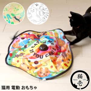 猫のおもちゃ キャッチミーイフユーキャン2 猫壱...