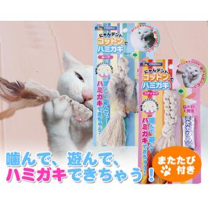 猫のおもちゃ キャティーマン にゃんデント コットンでハミガキ