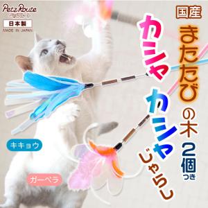 猫壱 キャットプレイキューブ 猫用 おもちゃ カサカサ素材 : 56nyan 猫